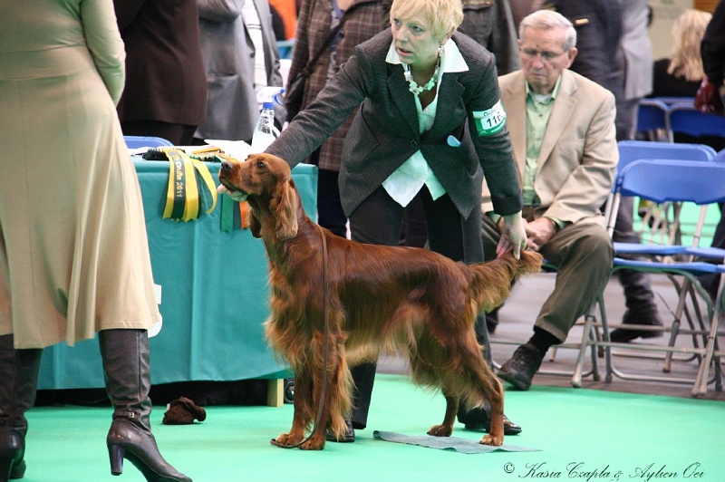 Crufts2011 497.jpg